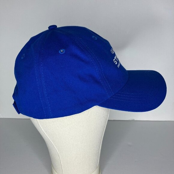 Washington State Fair Puyallup Blue Adjustable Hat - Picture 2 of 7